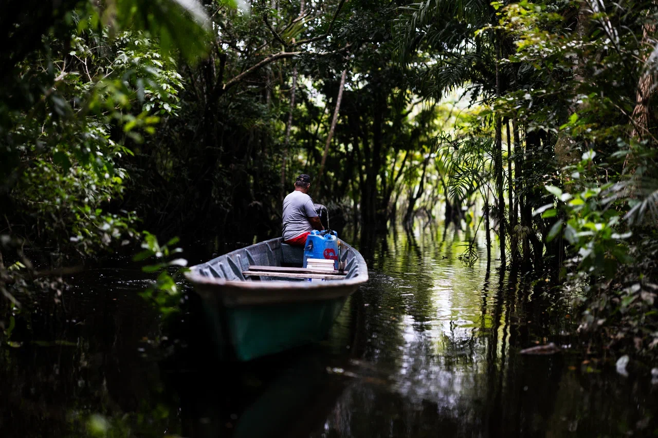 Somewhere inside the Amazonian rainforest